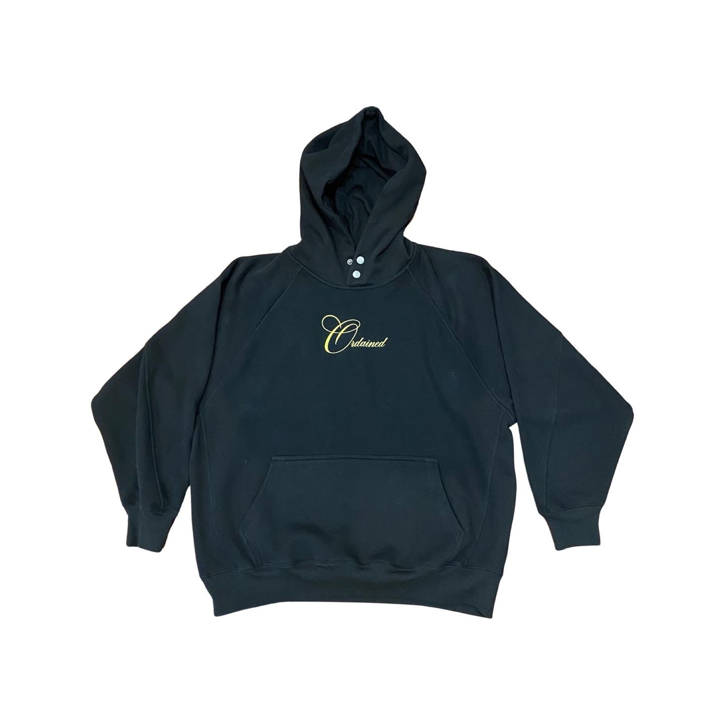 'Triumph of Galatea' Hoodie