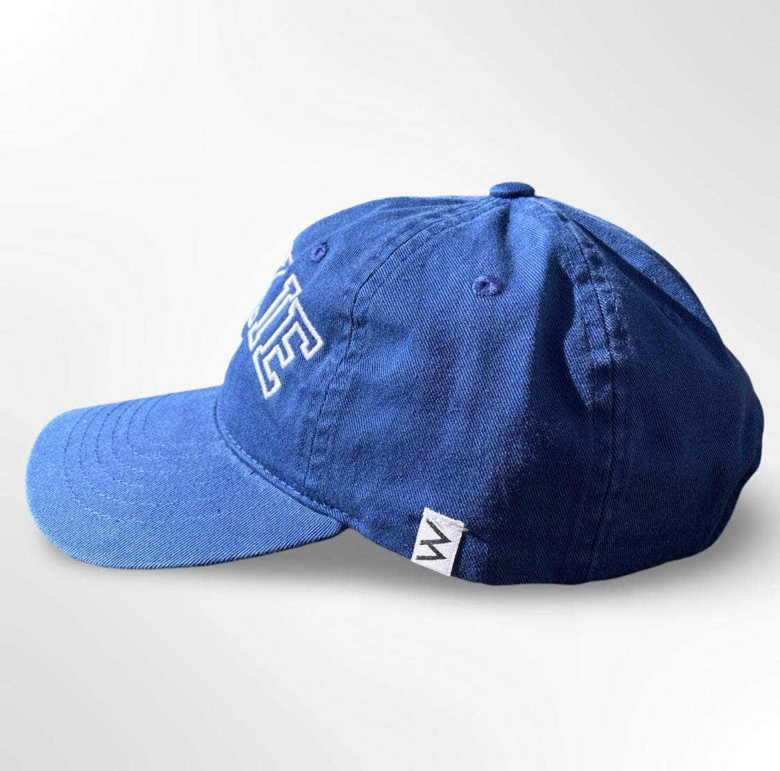 'ROOKIE' dad hat
